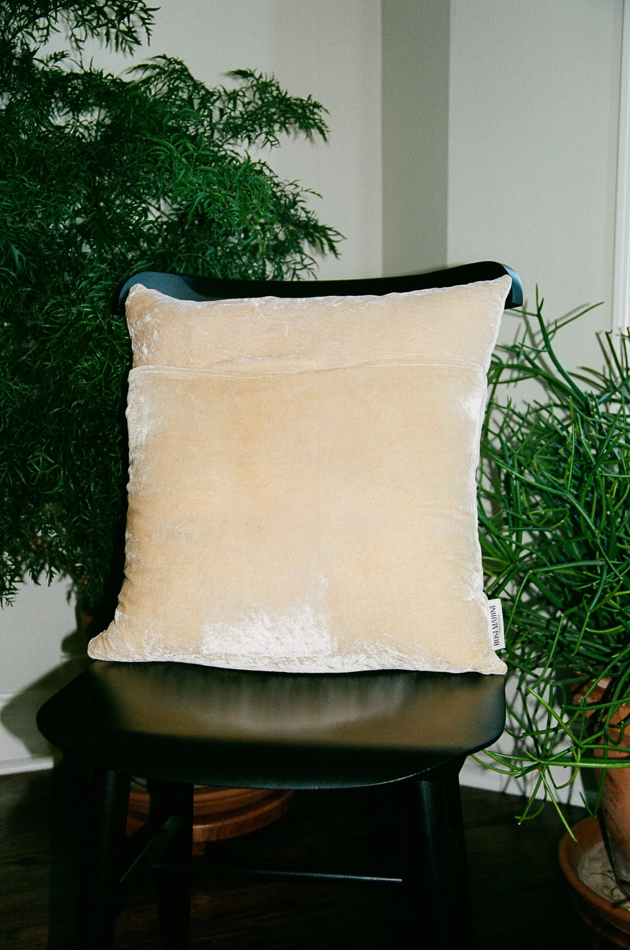 Sand Naturally Dyed Silk Velvet Pillow