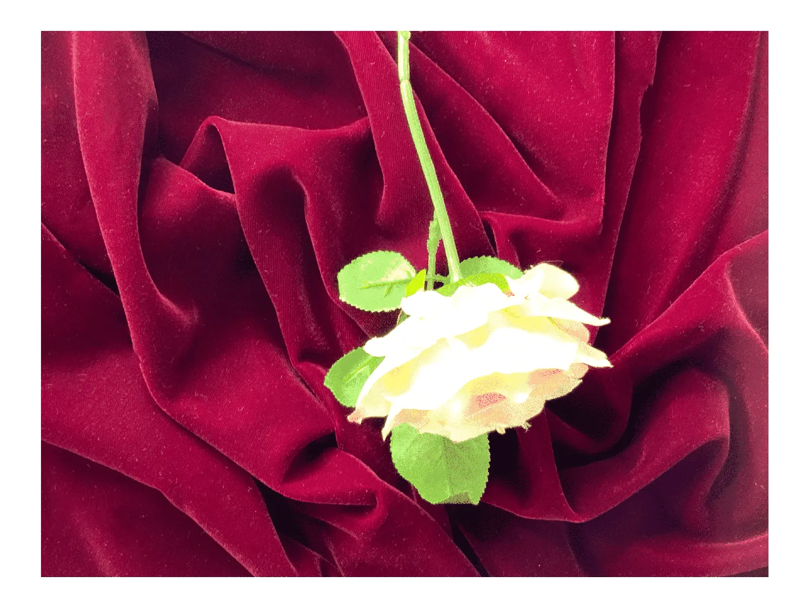 WINE - Micro Velvet  Fabric -  Fine and Lightweight - 112 cms - 180 gsm - For Crafts, Costume, Toys and Theatre